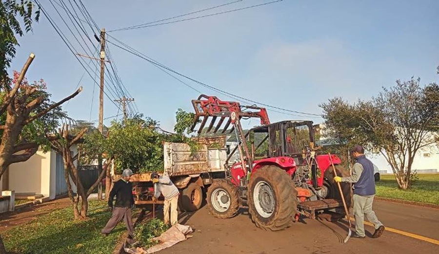 Apóstoles: En el mes de Abril se realiza el Sector I de Poda Autorizada de Arboles