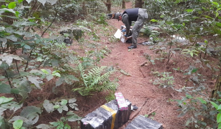 Gendarmes secuestraron más de 280 kilos de marihuana: El estupefaciente se encontraba acopiado en una zona montuosa