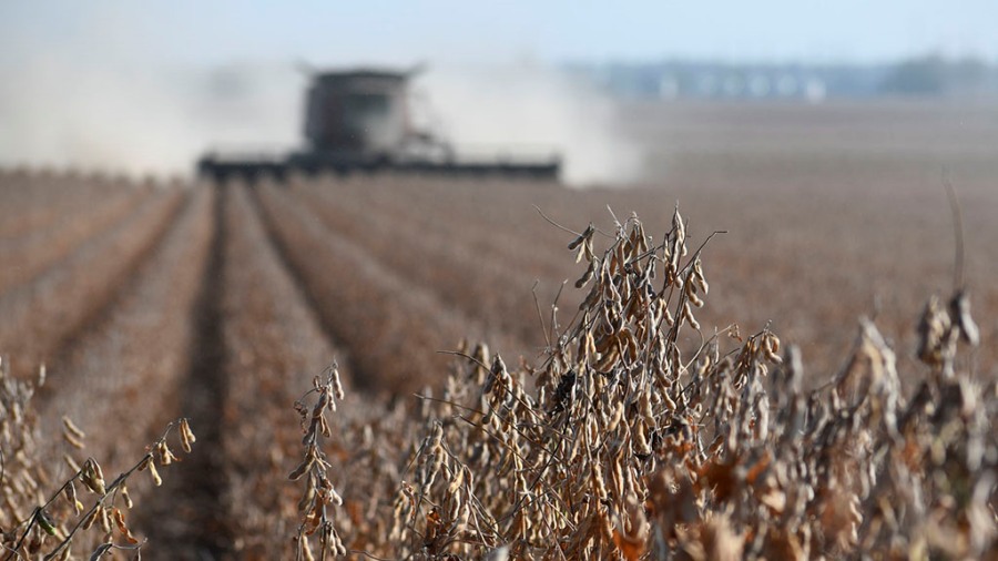 La cosecha de soja avanzó 15% durante la semana y cubrió 500.000 hectáreas