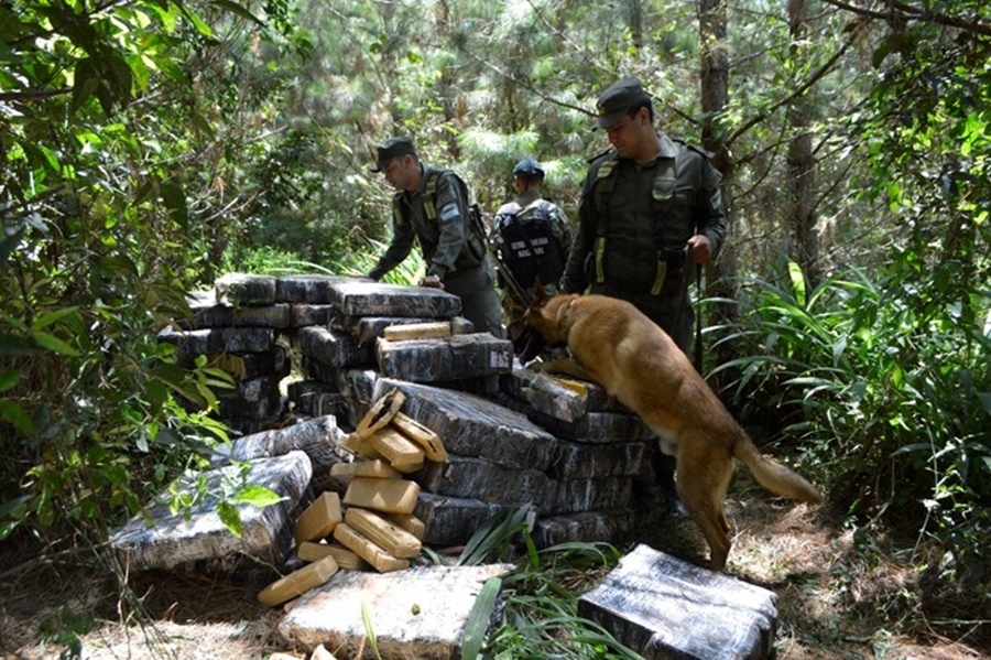 Misiones: Gendarmería Nacional procedió al secuestro de novecientos setenta y dos kilogramos de marihuana, fue en el predio conocido como “Los Pinales”