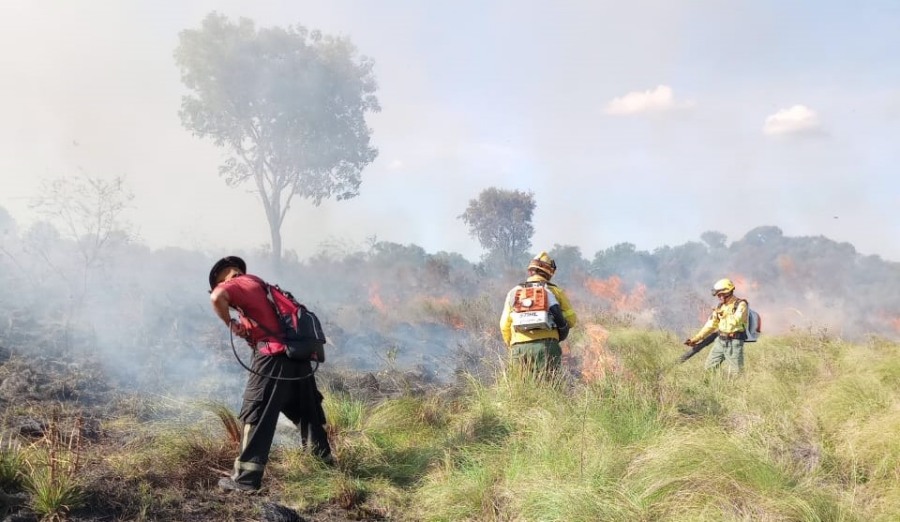 El fuego consumió alrededor de 120 hectáreas de pastizales en un campo: Bomberos de la Policía Misiones trabajaron diez horas para detener un frente de incendio en el Municipio de Santa Ana