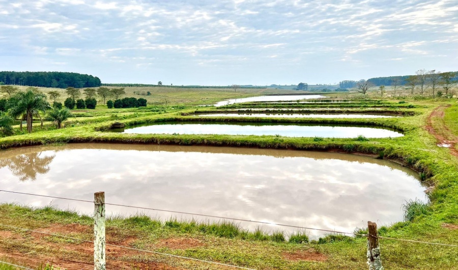 Misiones: Se consolida la piscicultura, en una agenda de trabajo conjunto con la Subsecretaría de Recursos Acuáticos y Pesca de la Nación y la Provincia