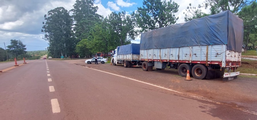 Misiones: Retuvieron tres camiones e incautaron 70.500 kilogramos de granos, ingresados de manera ilegal a la provincia