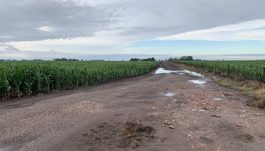 Llegaron lluvias, pero pocas: ¿Seguirán?, qué dicen los pronósticos a corto y mediano plazo