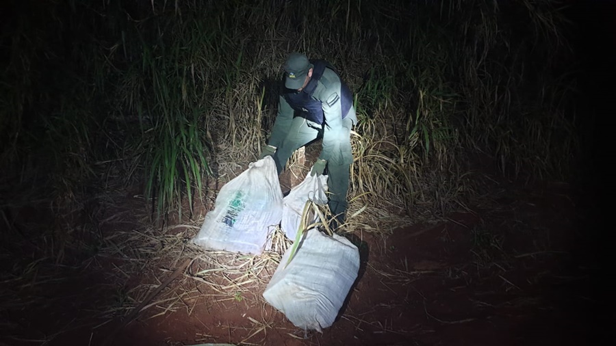 Gendarmes hallaron acopio de marihuana en Colonia Oro Verde, pese al intenso rastrillaje efectuado sobre la zona del hallazgo, no fue posible individualizar a posibles responsables