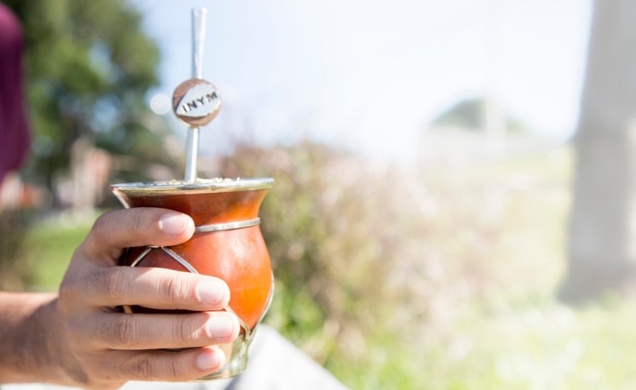 Los efectos benéficos de consumir yerba mate ya forman parte del temario en los Congresos Médicos