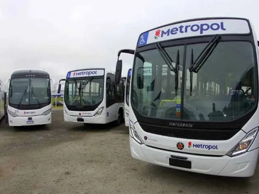 Nuevo paro de colectivos confirmado por la UTA, luego del "fracaso de la última audiencia en el Ministerio de Trabajo": Cuándo y a qué líneas afecta