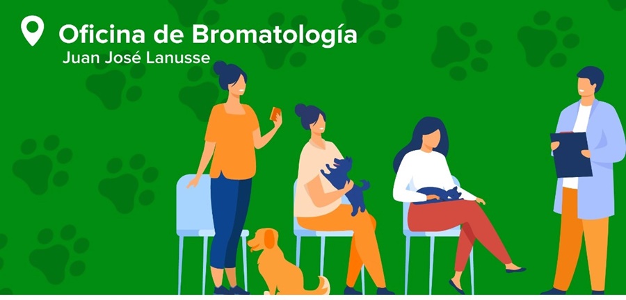 Apóstoles: El Municipio realizará castraciones gratuitas de mascotas domésticas, específicamente perros y gatos