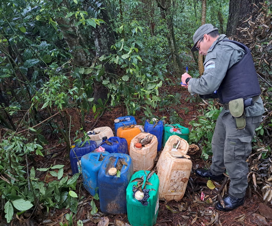 Gendarmes hallaron bidones con gasoil escondidos en el monte, el lugar en donde se encontraban ocultos hizo presumir que iban a ser trasladados al vecino país por un paso no habilitado