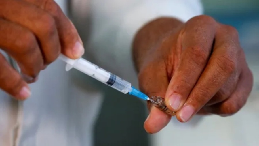 Misiones es la primera provincia del NEA en aplicar la vacunación gratuita contra el Dengue