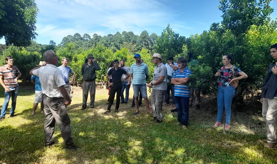 Trabajar la fertilidad de la chacra como un sistema integral – ambiental para lograr buenos rendimientos