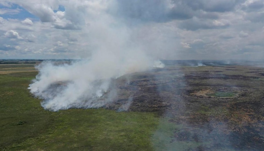 Con los Esteros del Iberá en “estado crítico”, los incendios forestales vuelven a preocupar a Corrientes
