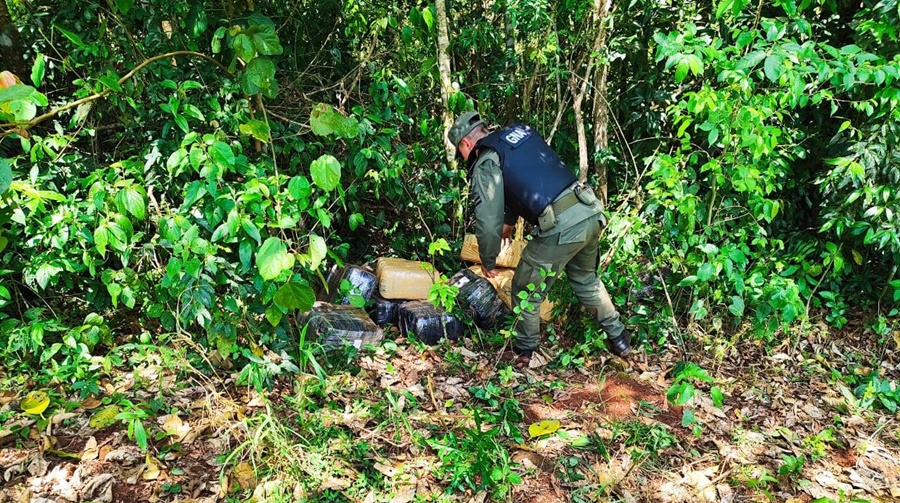 Gendarmería Nacional impidió el traslado de marihuana valuada en más de 230 millones de pesos: El estupefaciente había ingresado por un paso no habilitado desde el Paraguay