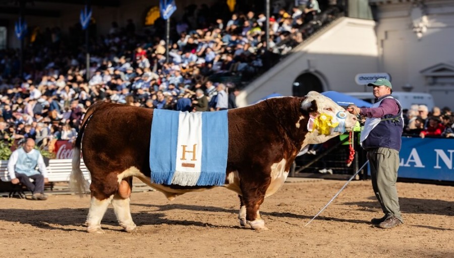 Con un jurado internacional, Tres Colonias y Garruchos S.A., se llevaron los máximos premios en los Hereford