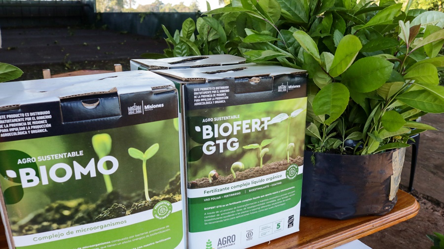 Misiones: Productores/as de la localidad de Azara se beneficiaron con plantines de yerba mate y bioinsumos para el desarrollo de su producción