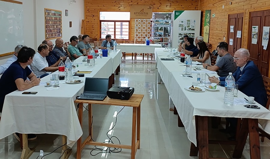 Misiones: Empresarios madereros analizan estrategias para motorizar la economía sectorial