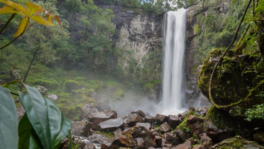 Naturaleza y aventura en los Parques Provinciales y Temático de la provincia de Misiones