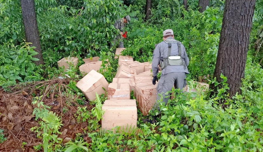 Gendarmería Nacional descubrió acopio de marihuana valuada en 600 millones de pesos, el estupefaciente se encontraba en cajas de cartón ocultas en un pinal