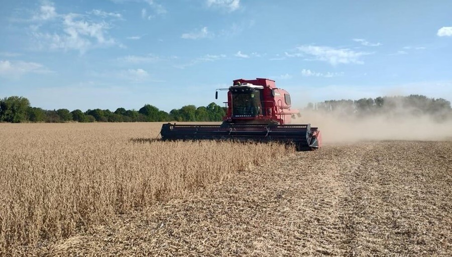 Las pérdidas del agro por la sequía ya alcanzan a 33.000 millones de dólares