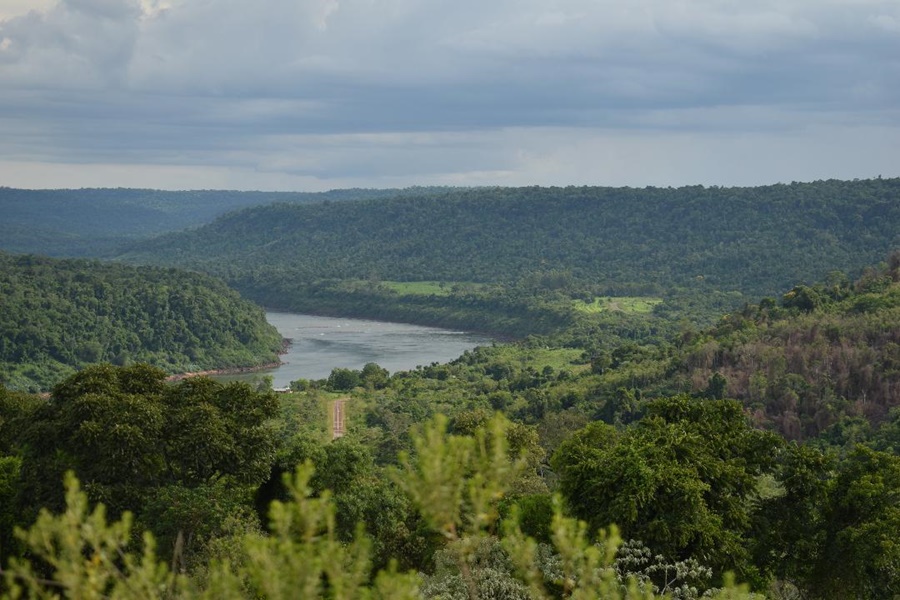 5 de Junio, Día Mundial del Medio Ambiente: Mundo de transiciones