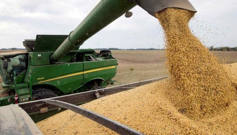 La noticia que esperaba el Gobierno Nacional: Se activaron con fuerza las ventas de soja