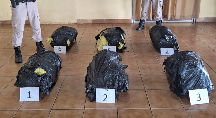 Prefectura Naval Argentina secuestró más de ochenta kilos de marihuana en Misiones
