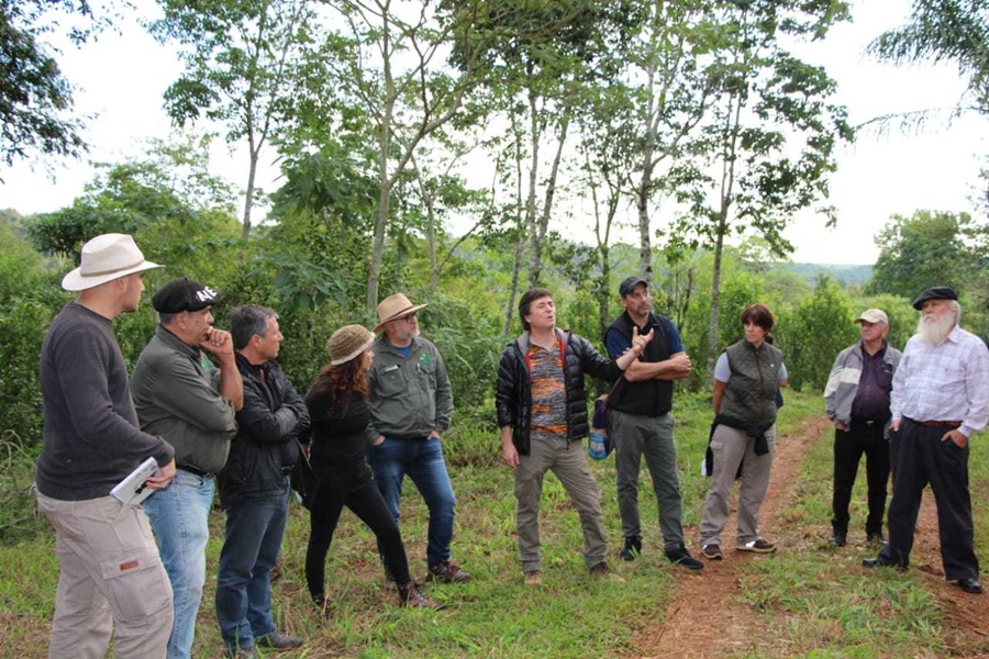 “La agroecología es la herramienta más completa para la actividad yerbatera”