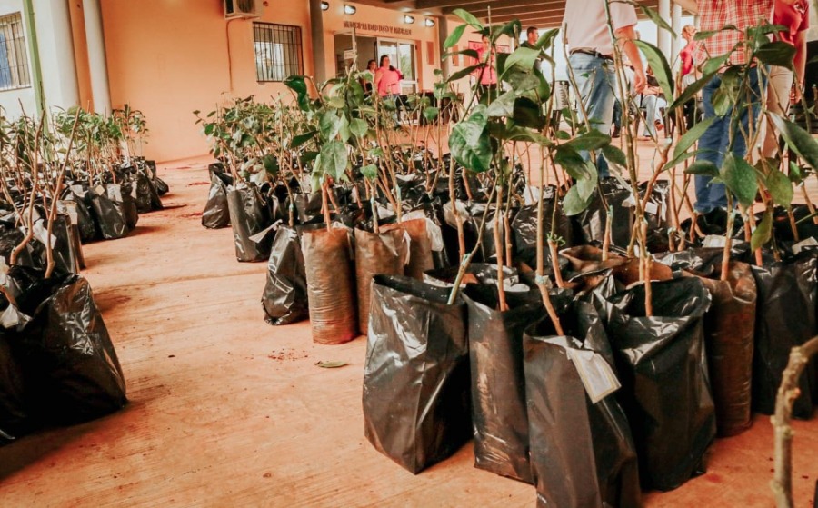Misiones: Desde el Gobierno Provincial continúan acompañando al sector citrícola