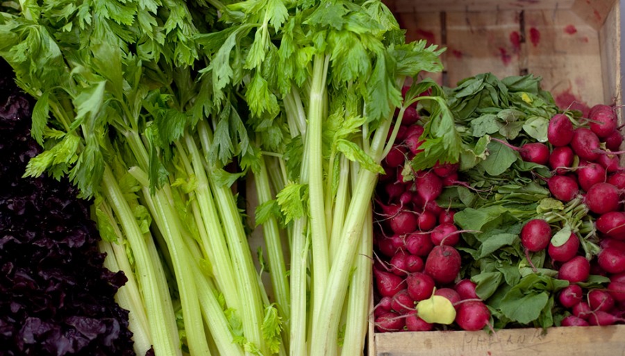 Desregulación en la huerta: Derogan una norma sobre envasado que tenía 90 años