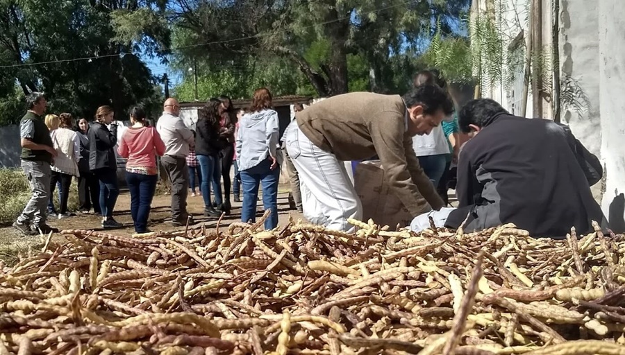 En la Reserva de Ñancuñan, la harina de algarroba amasa un futuro para 500 familias