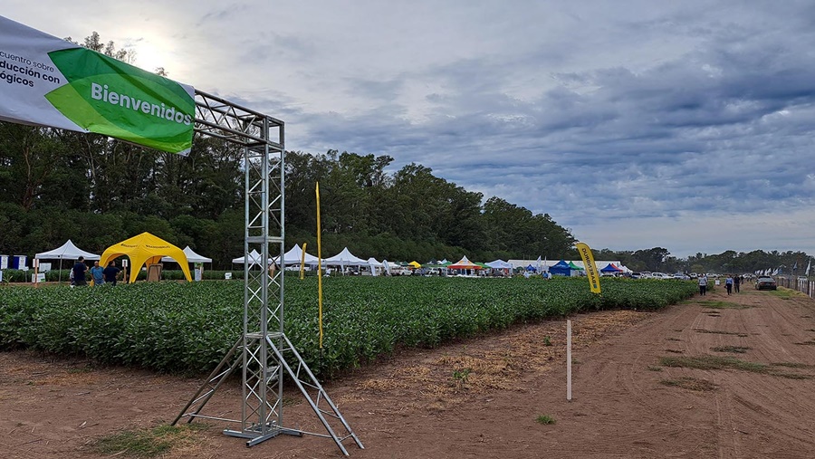 EnBio 2024: ¿Hace falta receta agronómica para recomendar y aplicar biológicos?