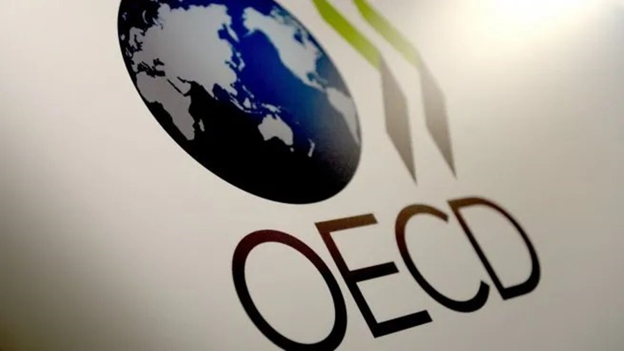 En 2023 y 2024: La Organización para la Cooperación y el Desarrollo Económico empeoró el pronóstico de la Argentina, será el único país del G20 en recesión