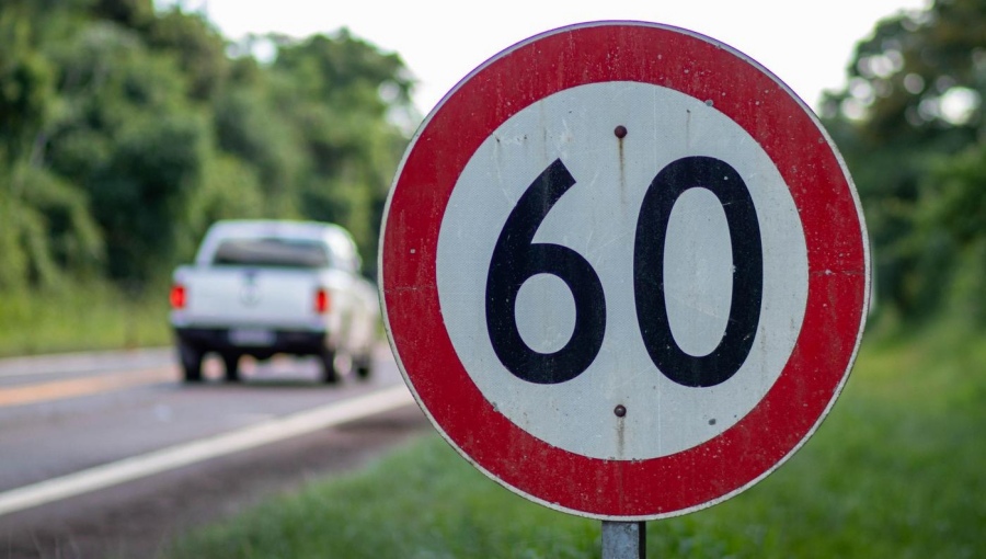 Desde Vida Silvestre recuerdan la importancia de respetar los límites de velocidad