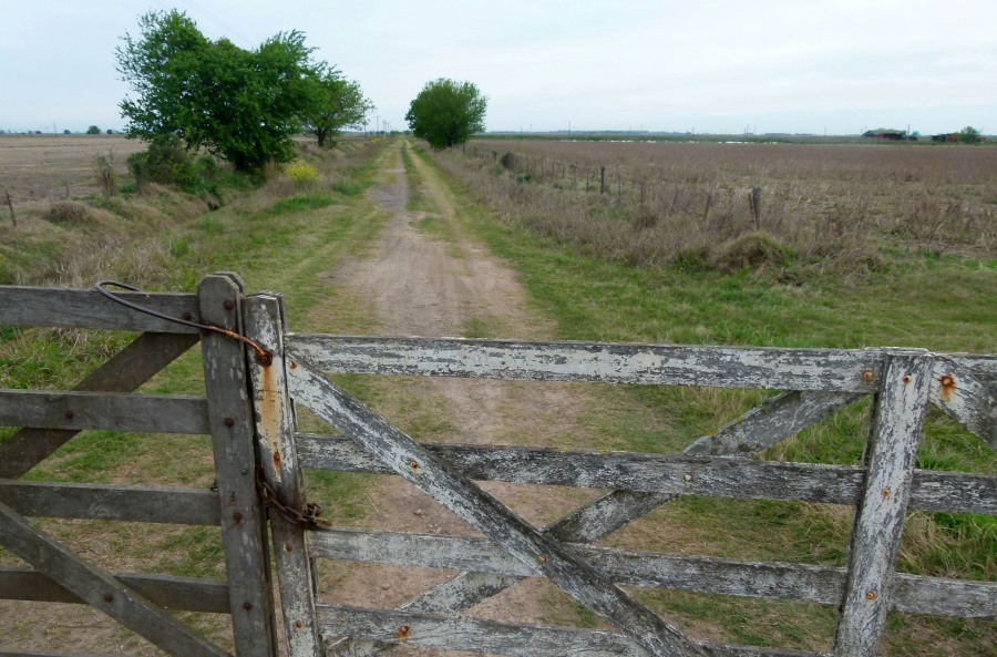 Cómo subdividir un campo y porqué tiene qué hacerlo un matriculado