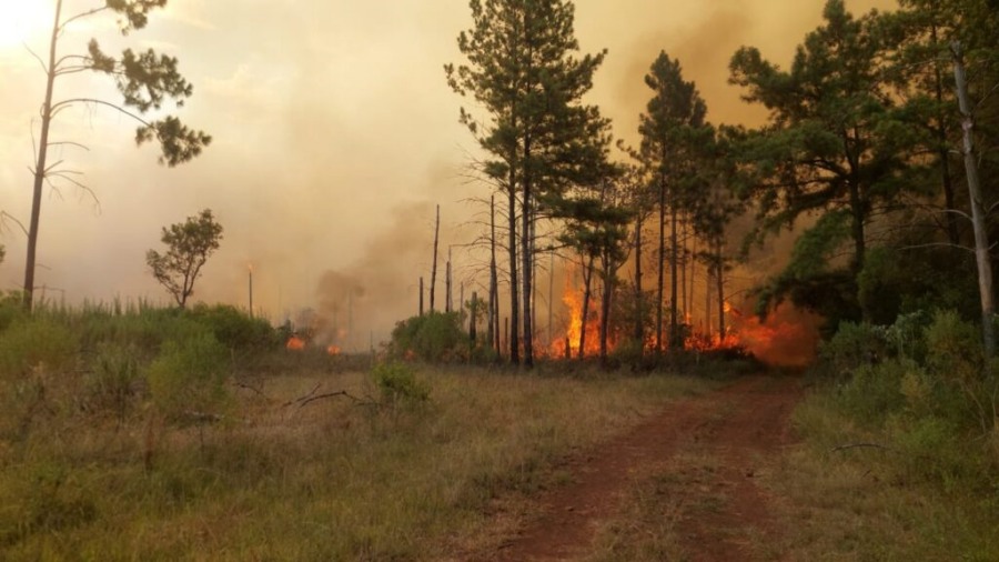 Misiones: La provincia enfrenta un riesgo de incendios extremo, fuego controlado cerca del Parque Provincial de la Sierra