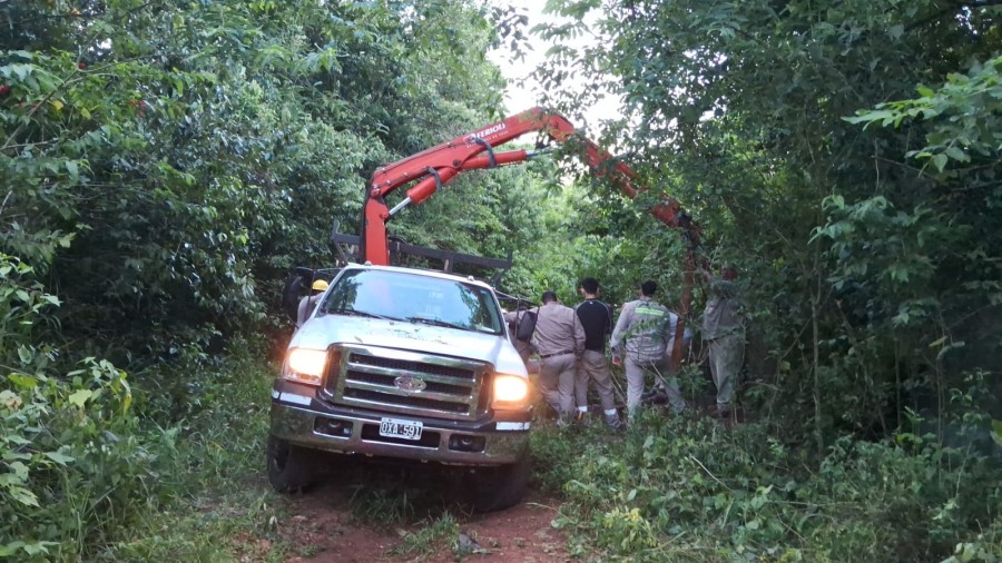 Vandalismo dejó sin energía: Denuncian sabotaje en la línea de 33 KV que dejó sin luz a la ciudad misionera de Puerto Iguazú