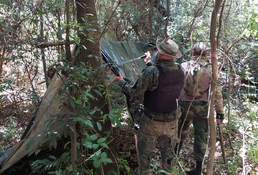 Misiones: Desmantelaron dos campamentos y trampas de cazadores furtivos