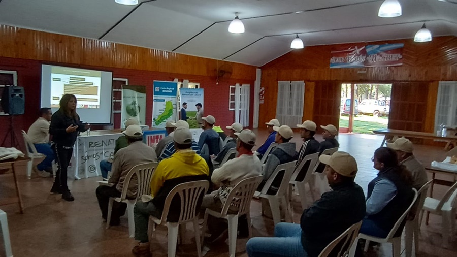 Comenzó un ciclo de capacitaciones sobre Manejo de planta y Buenas Prácticas sobre Yerba Mate en Misiones