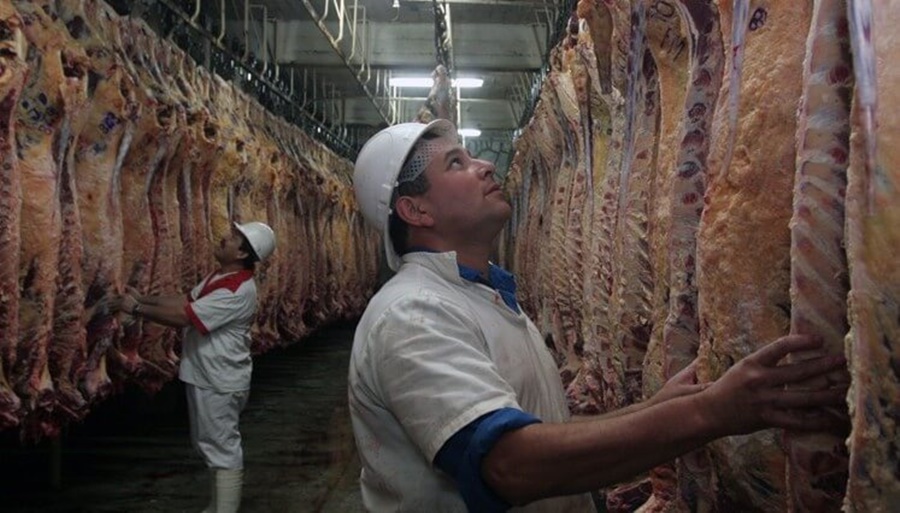 Frigoríficos del consumo interno evalúan ir a la Justicia para frenar el troceo de la media res