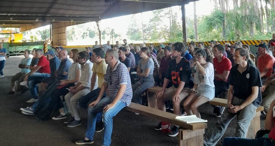 Crisis Tealera en Misiones: En la localidad de Jardín América, productores exigen acciones inmediatas del Gobierno Provincial