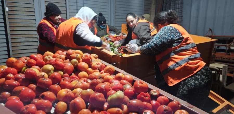 Posadas: Recuperaron más de trescientos kilos de frutas y verduras que serán destinadas comedores comunitarios