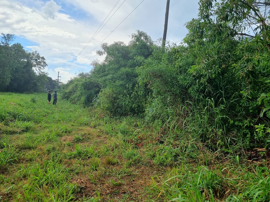Misiones: Hallaron el cuerpo de una mujer de 61 años en un baldío de la ciudad de Oberá, se investigan las causales del deceso