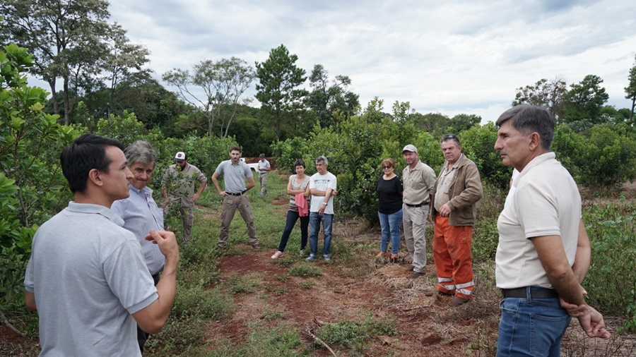 Misiones: Jornada de trabajo del INYM junto a productores, cooperativas y secaderos en la localidad de Guaraní