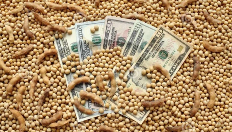 “Un nuevo horizonte para el sector”: Desde el campo y la agroindustria celebran el fin del cepo