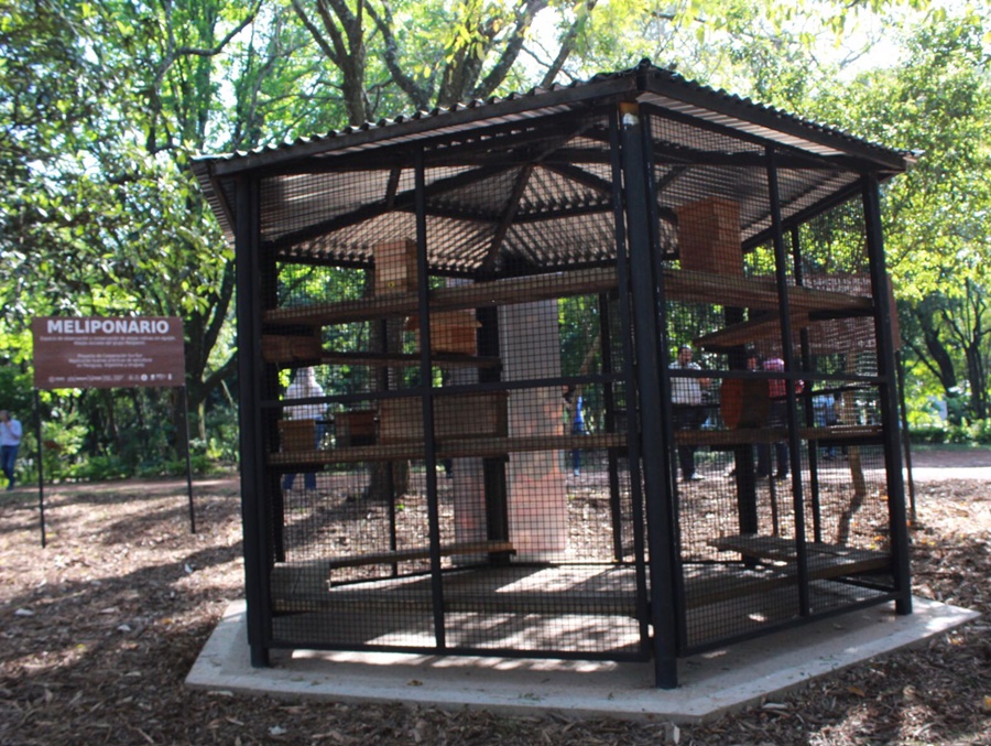 Posadas: Se inauguró un nuevo Meliponario en Misiones