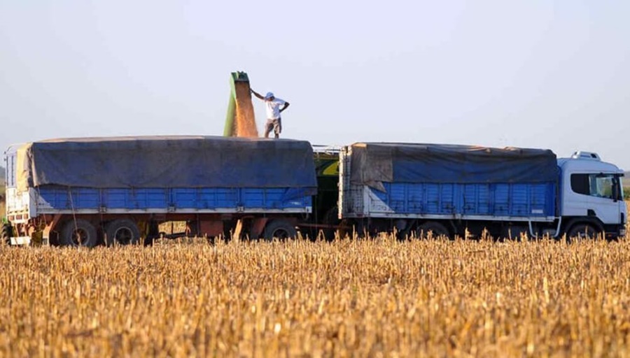 El costo del flete: Se necesita 13% más soja y 20% más maíz que el año pasado para pagar el camión