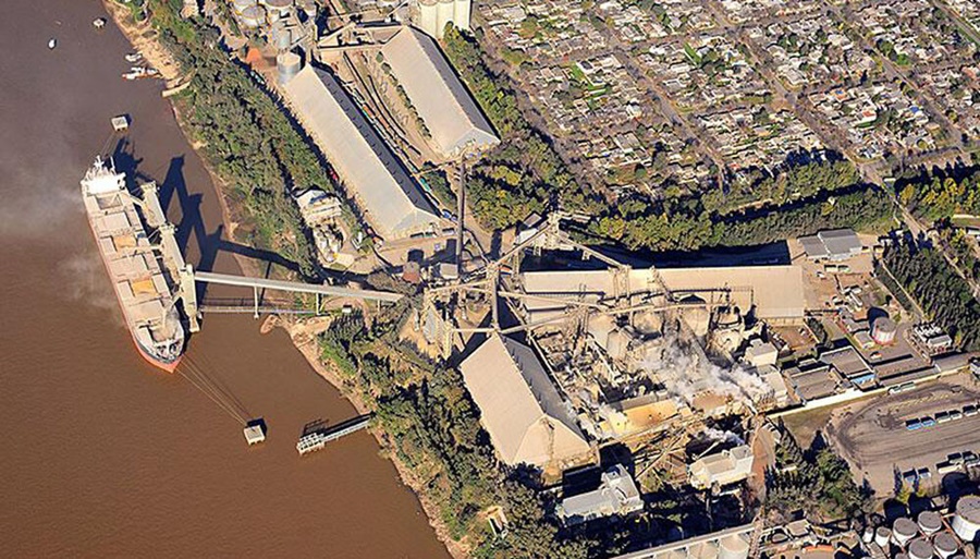 ¿Cómo impactará en Argentina?, Bunge compró Viterra y se potencia como otro gigante global del agro
