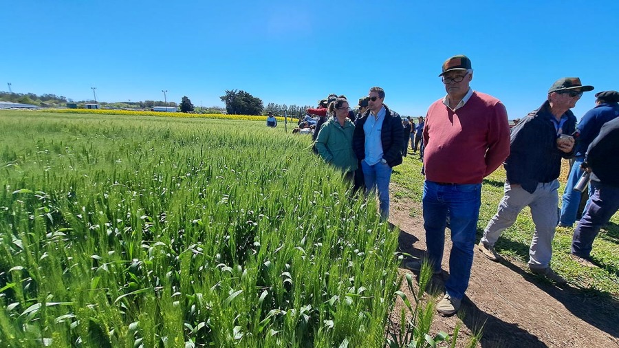 Nuevo formato de exposiciones: Se viene Expocereales, primera muestra temática a campo sobre trigo y cebada con todas sus decisiones de manejo