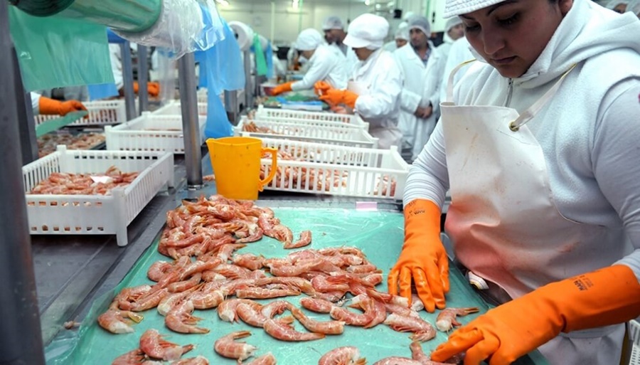 Con un langostino que perdió precio, las exportaciones pesqueras caen 6,7%
