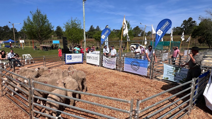En el Municipio de Dos de Mayo la Sociedad Rural Ovina Caprina Equina y Porcina de Misiones remató un dorper por más de un millón de pesos y un chivo en seiscientos mil pesos